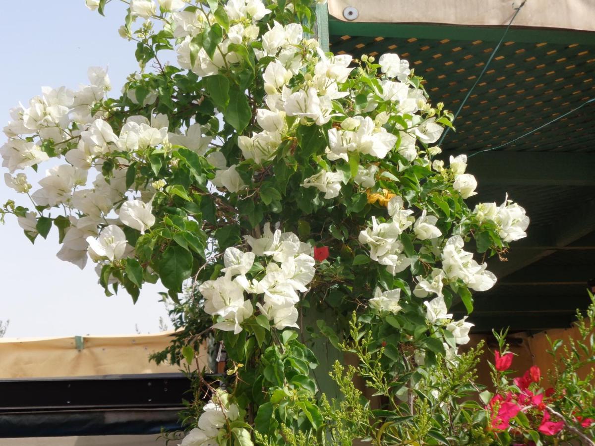 Riad Sesame Marakéš Exteriér fotografie